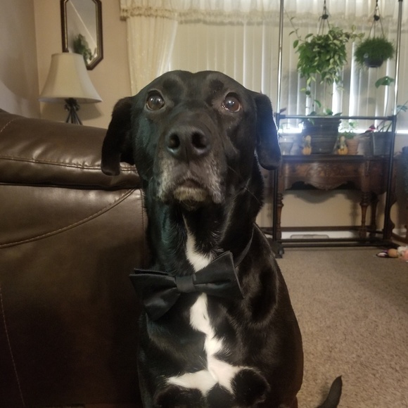 Meet your Posher, Jaimy - Picture 1 of 1